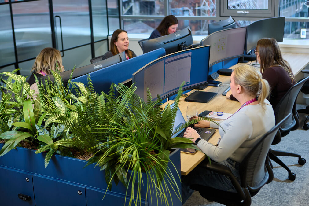 DF Capital people team working at desks