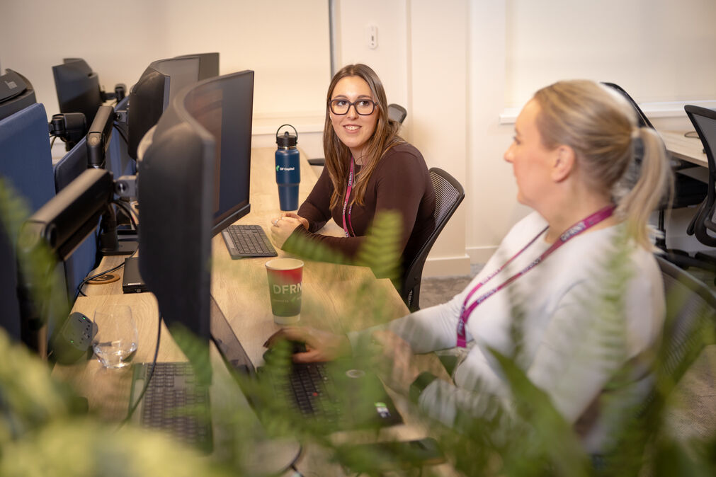 DF Capital staff working at their desks